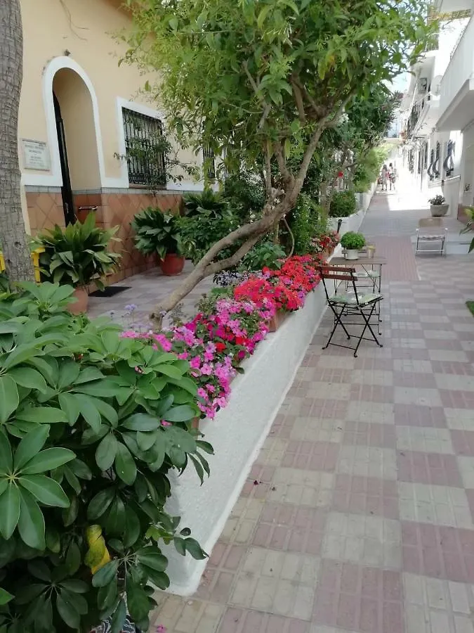 Hotel Avenida 31 Marbella