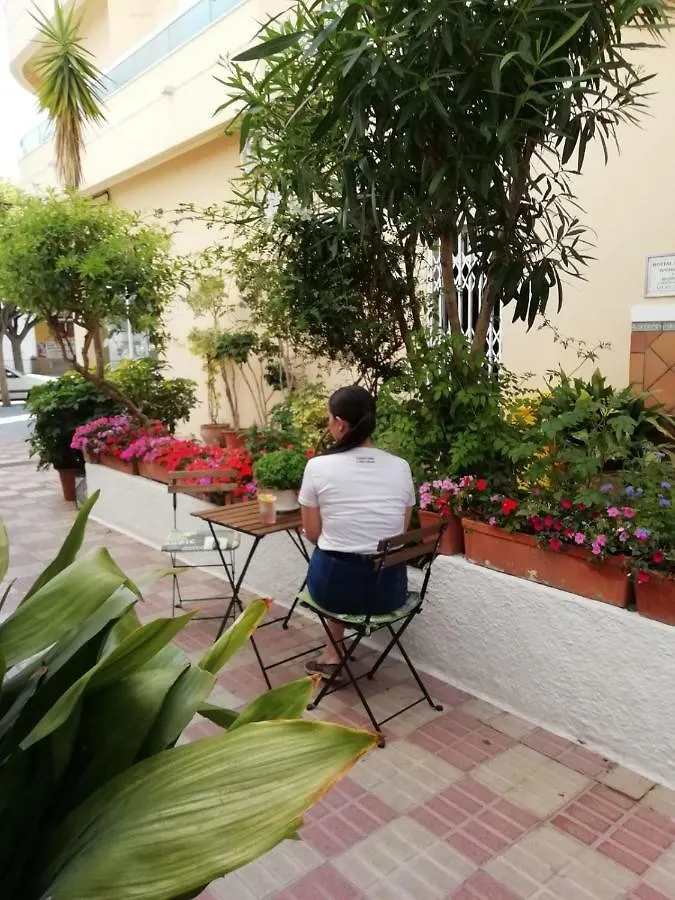 Hotel Avenida 31 Marbella 2*,