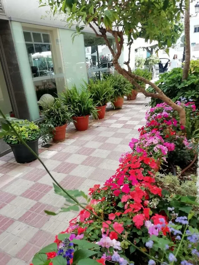 Hotel Avenida 31 마르베야